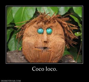 Coco loco.