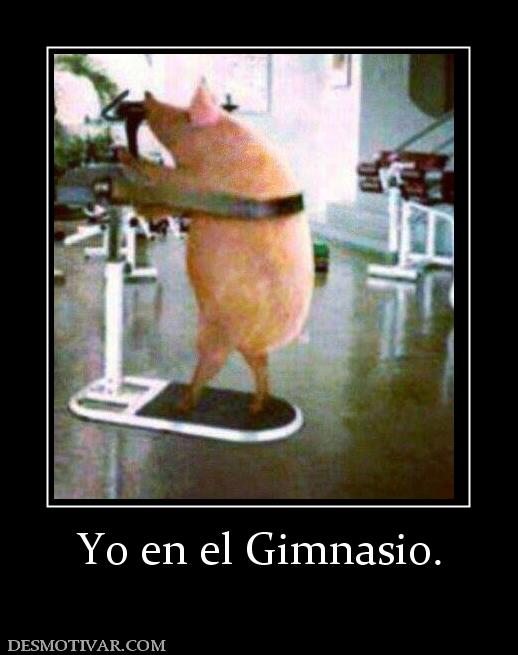 Yo en el Gimnasio.