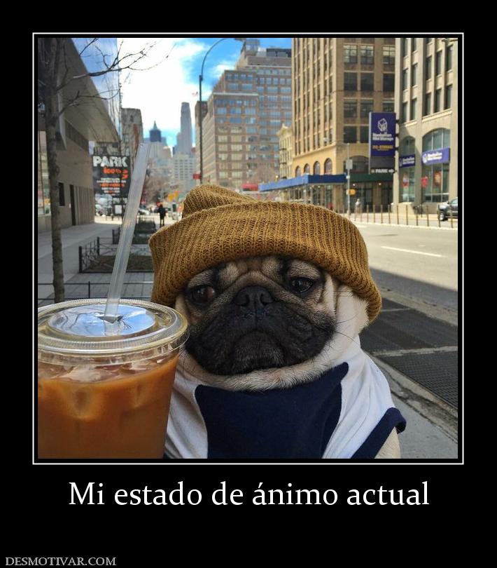 Mi estado de ánimo actual