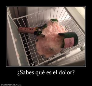 ¿Sabes qué es el dolor?