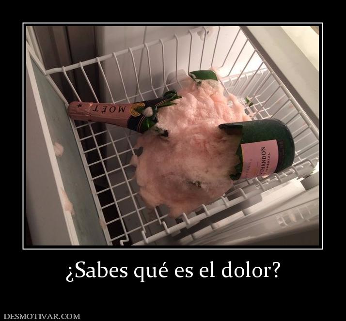¿Sabes qué es el dolor?