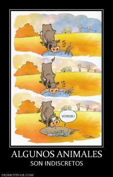 ALGUNOS ANIMALES SON INDISCRETOS