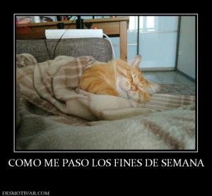 COMO ME PASO LOS FINES DE SEMANA