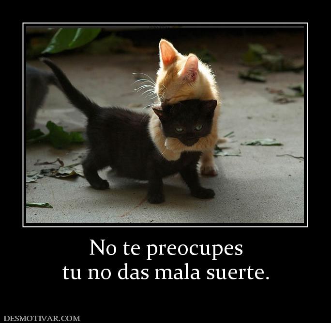 No te preocupes tu no das mala suerte.