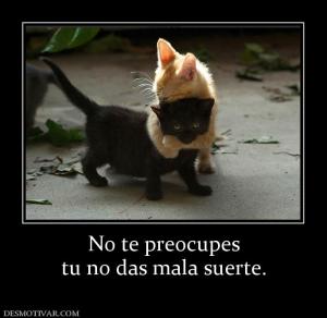 No te preocupes tu no das mala suerte.