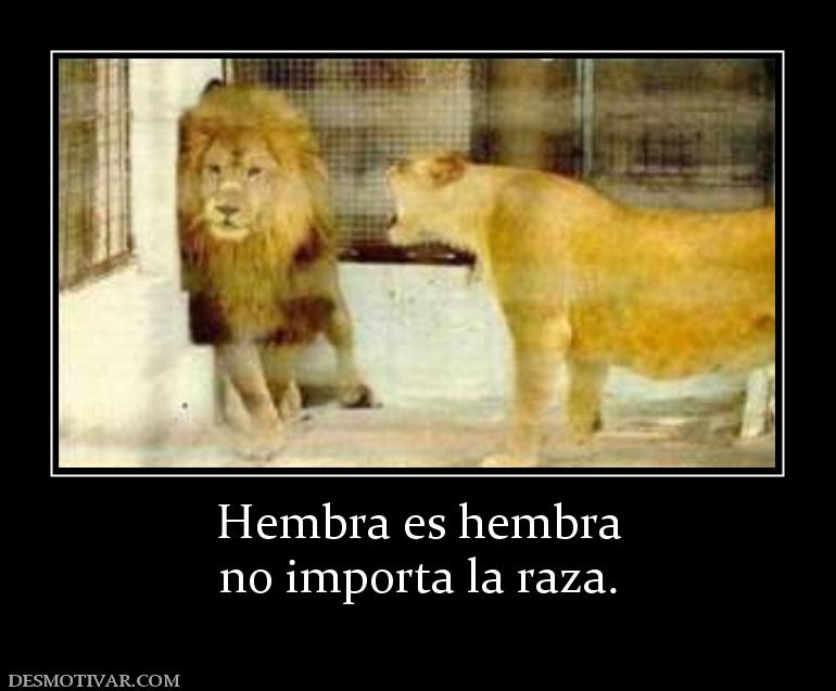 Hembra es hembra no importa la raza.