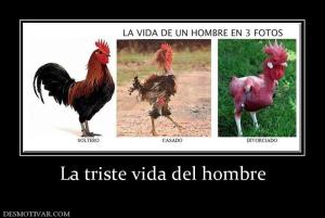 La triste vida del hombre