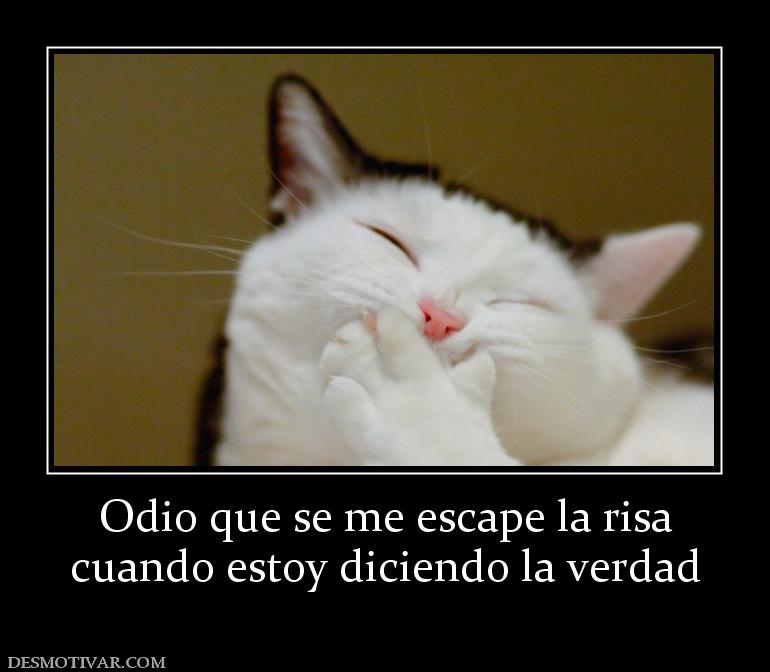 Odio que se me escape la risa cuando estoy diciendo la verdad