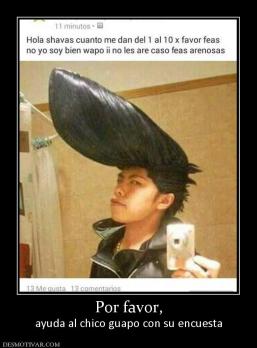 Por favor, ayuda al chico guapo con su encuesta