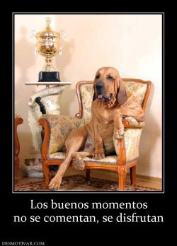 Los buenos momentos no se comentan, se disfrutan