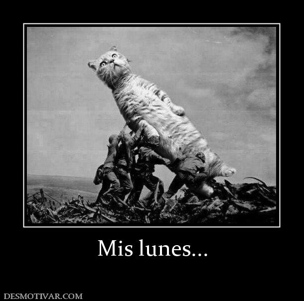 Mis lunes...