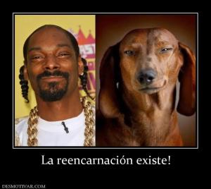 La reencarnación existe!