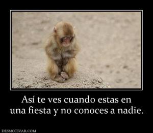 Así te ves cuando estas en una fiesta y no conoces a nadie.