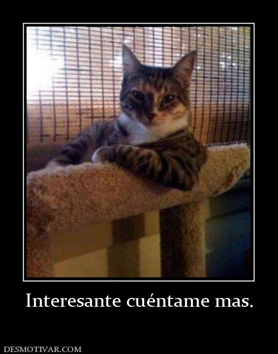 Interesante cuéntame mas.