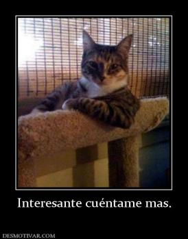 Interesante cuéntame mas.