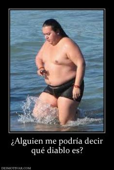 ¿Alguien me podría decir qué diablo es?