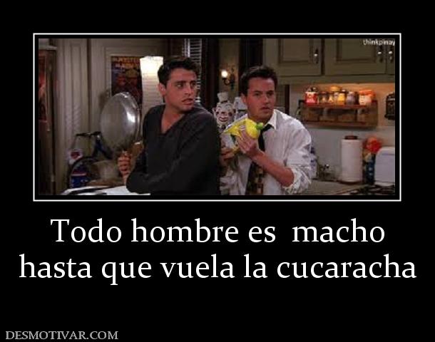 Todo hombre es  macho hasta que vuela la cucaracha