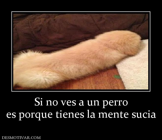 Si no ves a un perro es porque tienes la mente sucia