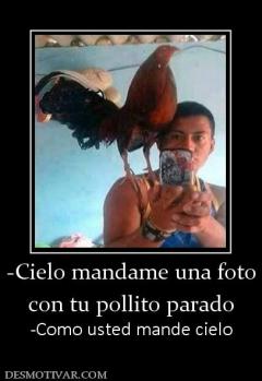 -Cielo mandame una foto con tu pollito parado -Como usted mande cielo