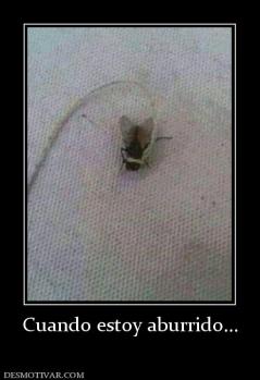 Cuando estoy aburrido...