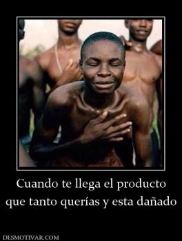 Cuando te llega el producto que tanto querías y esta dañado