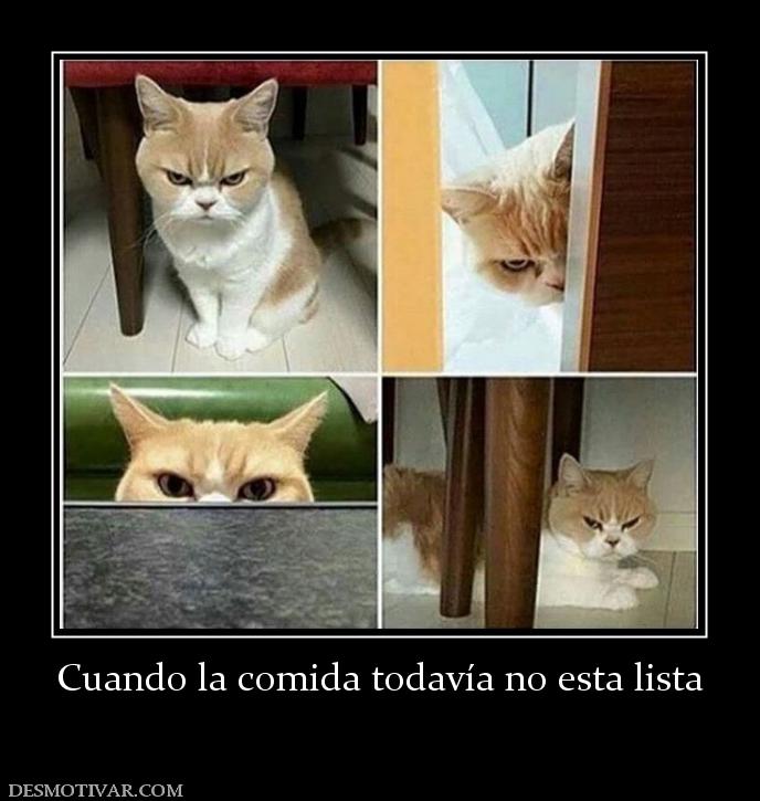 Cuando la comida todavía no esta lista