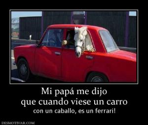Mi papá me dijo que cuando viese un carro  con un caballo, es un ferrari!