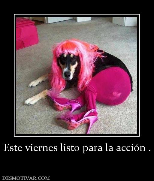 Este viernes listo para la acción .