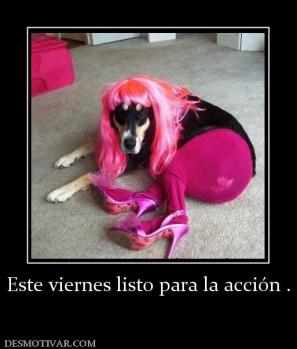 Este viernes listo para la acción .