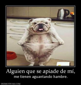 Alguien que se apiade de mí, me tienen aguantando hambre.