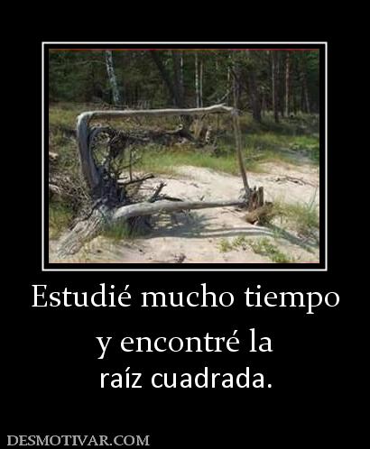 Estudié mucho tiempo y encontré la  raíz cuadrada.