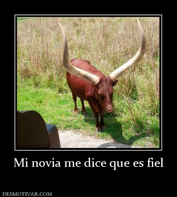 Mi novia me dice que es fiel