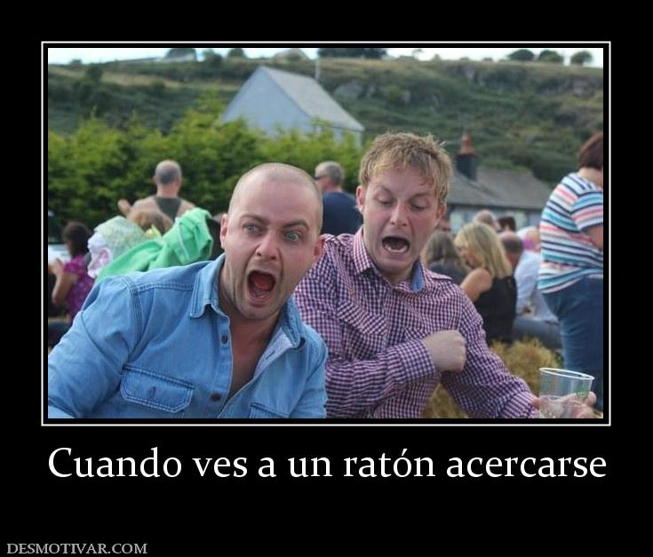 Cuando ves a un ratón acercarse