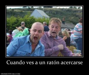 Cuando ves a un ratón acercarse