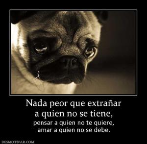 Nada peor que extrañar a quien no se tiene,  pensar a quien no te quiere, amar a quien no se debe.
