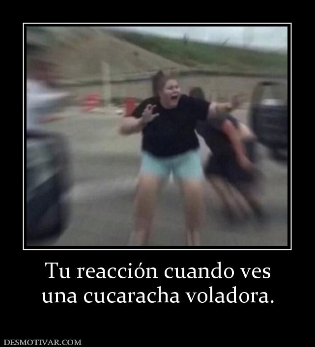 Tu reacción cuando ves una cucaracha voladora.