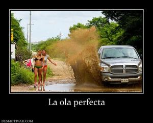 La ola perfecta