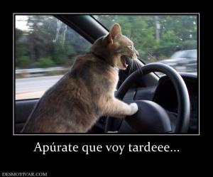 Apúrate que voy tardeee...