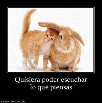 Quisiera poder escuchar lo que piensas