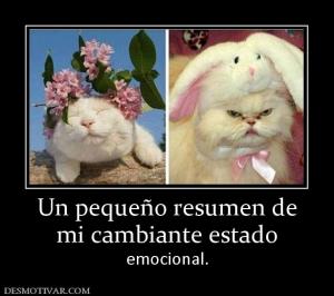 Un pequeño resumen de mi cambiante estado emocional.