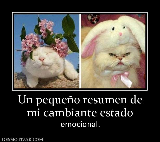 Un pequeño resumen de mi cambiante estado emocional.