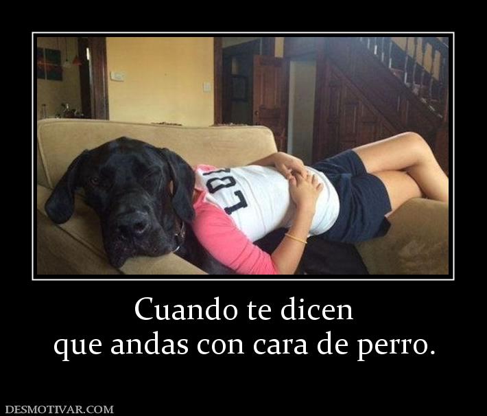 Cuando te dicen que andas con cara de perro.