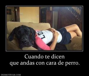 Cuando te dicen que andas con cara de perro.