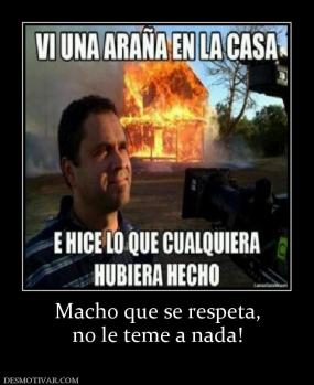 Macho que se respeta, no le teme a nada!
