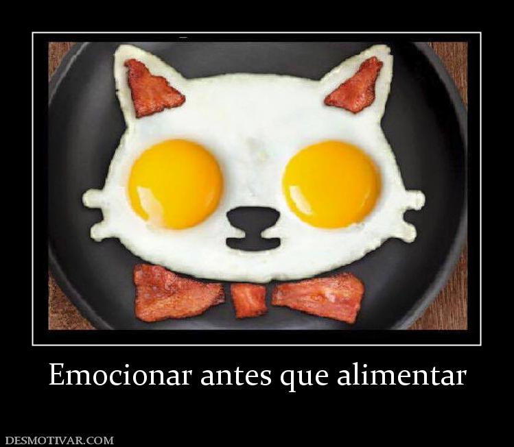 Emocionar antes que alimentar