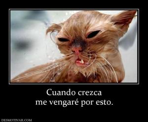 Cuando crezca me vengaré por esto.