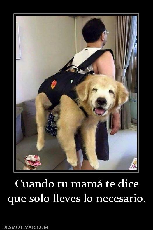 Cuando tu mamá te dice que solo lleves lo necesario.