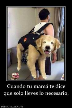 Cuando tu mamá te dice que solo lleves lo necesario.