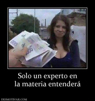 Solo un experto en la materia entenderá