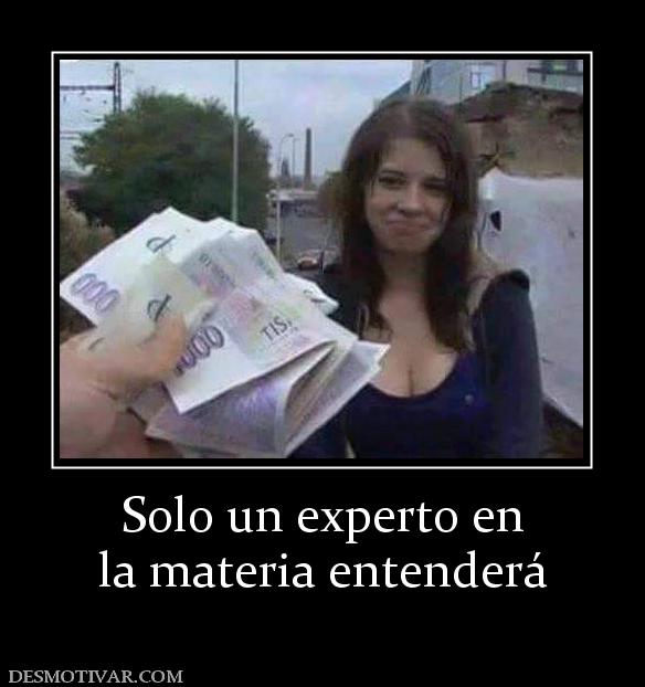 Solo un experto en la materia entenderá
